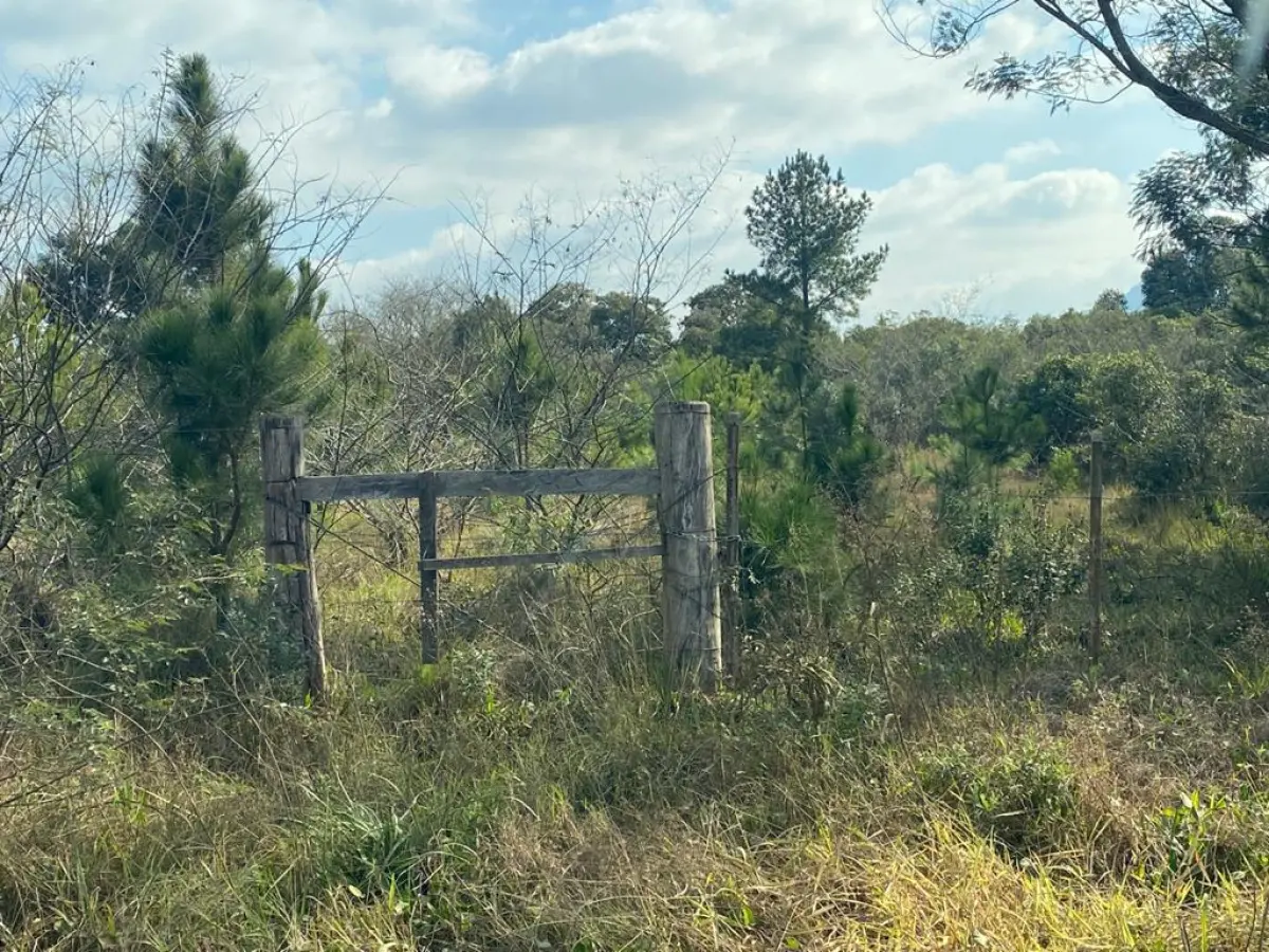 LOTE  - TERRENO NA ZONA URBANA DE ARARICÁ