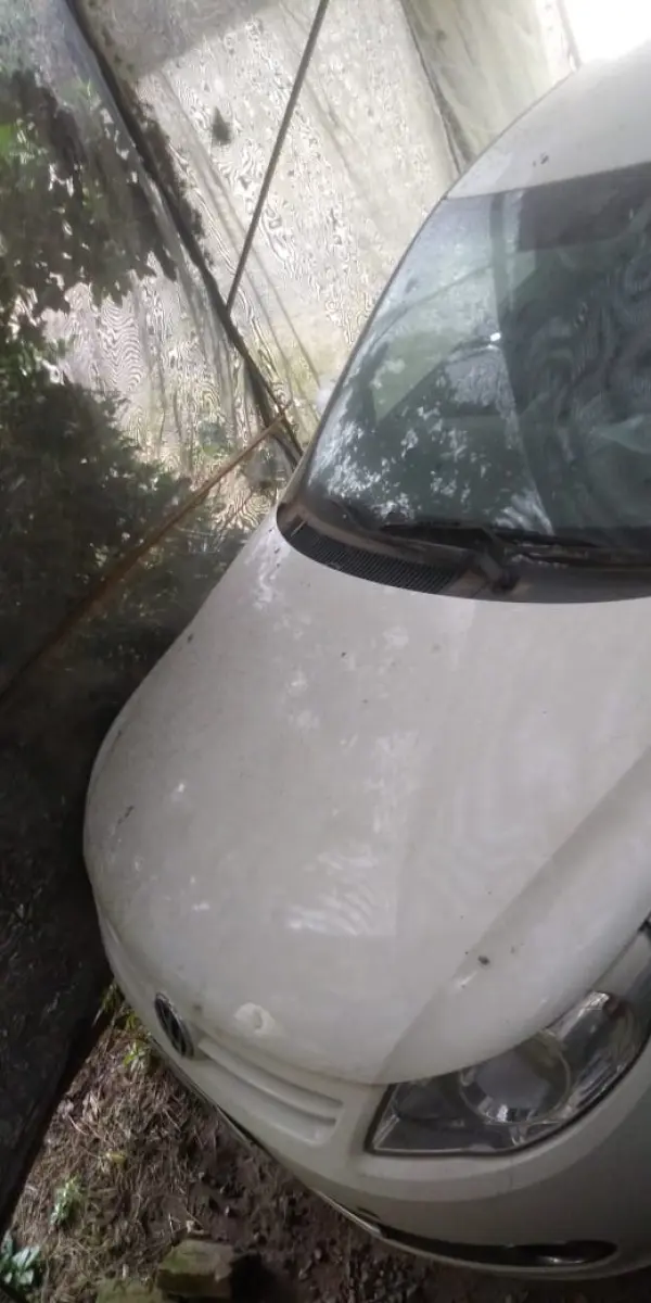 LOTE 1 - LOTE ENGLOBADO DE TODOS LOTES DO LEILÃO