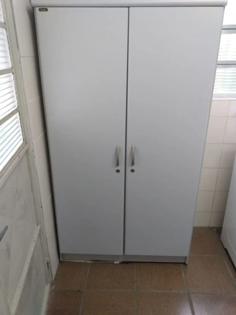 LOTE 06 - armários de escritório, cinza, marca proflex com duas portas