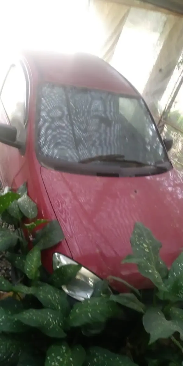 LOTE 1 - LOTE ENGLOBADO DE TODOS LOTES DO LEILÃO