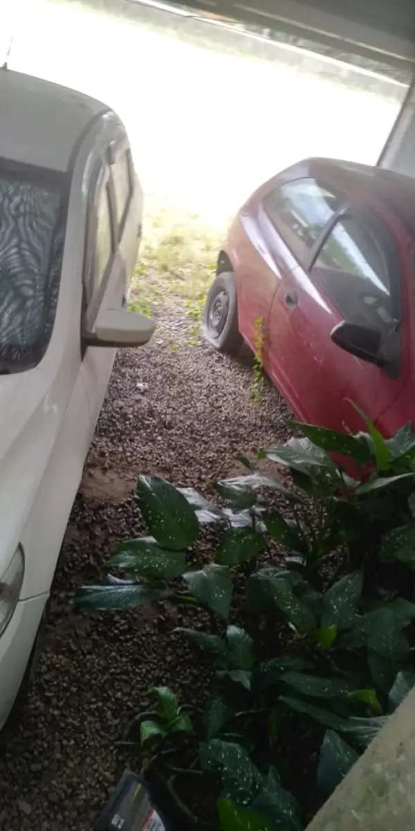 LOTE 1 - LOTE ENGLOBADO DE TODOS LOTES DO LEILÃO