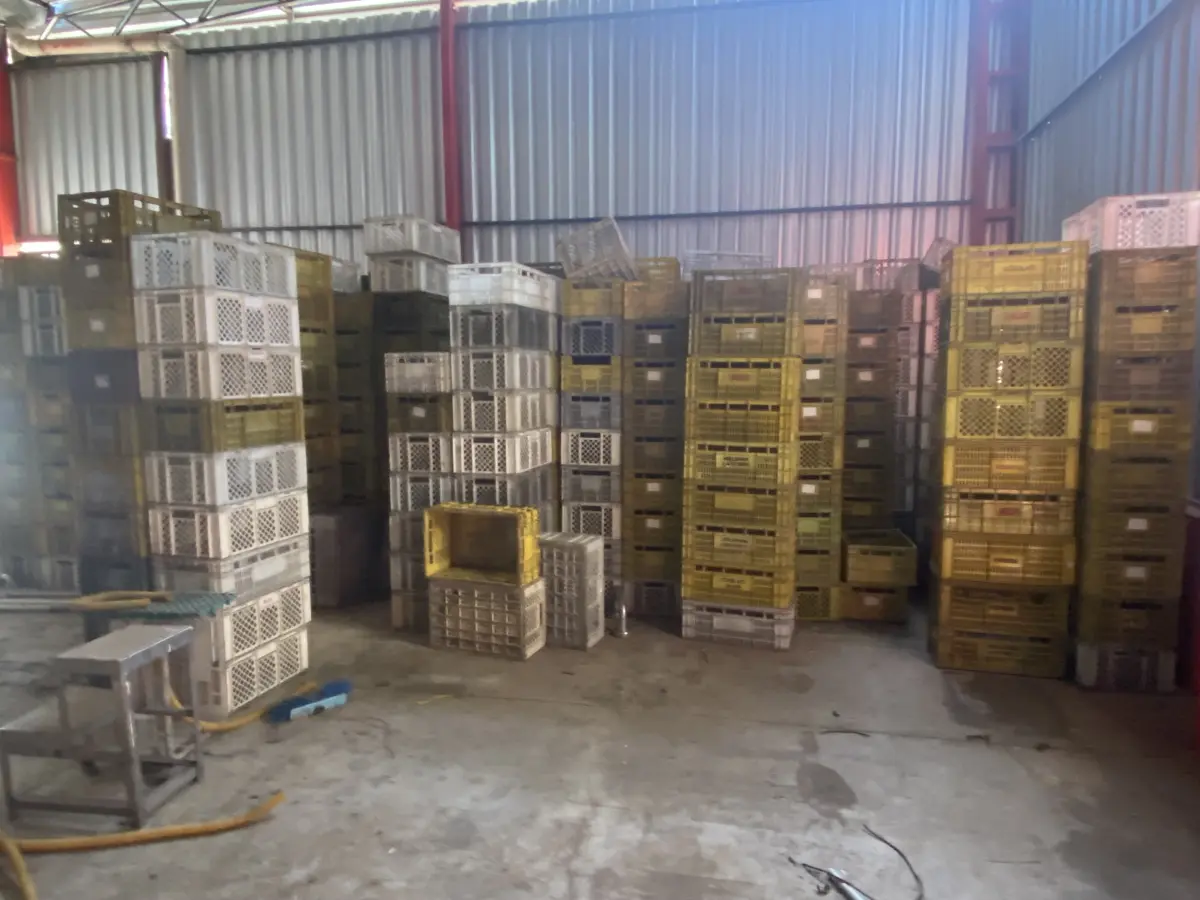 LOTE 044 - lote de caixas plásticas