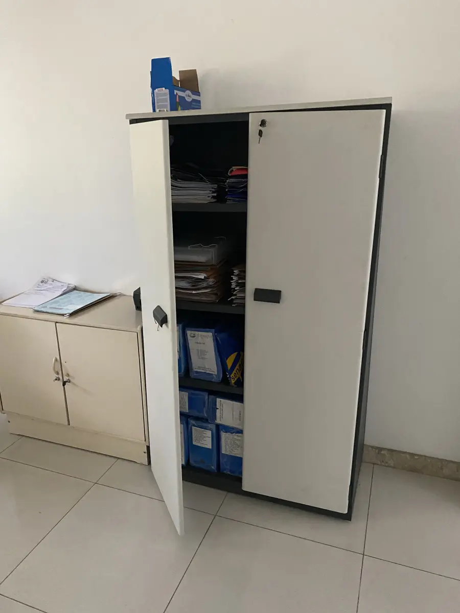 LOTE 10 - MÓVEIS EQUIPAMENTOS - vários itens junto ao prédio