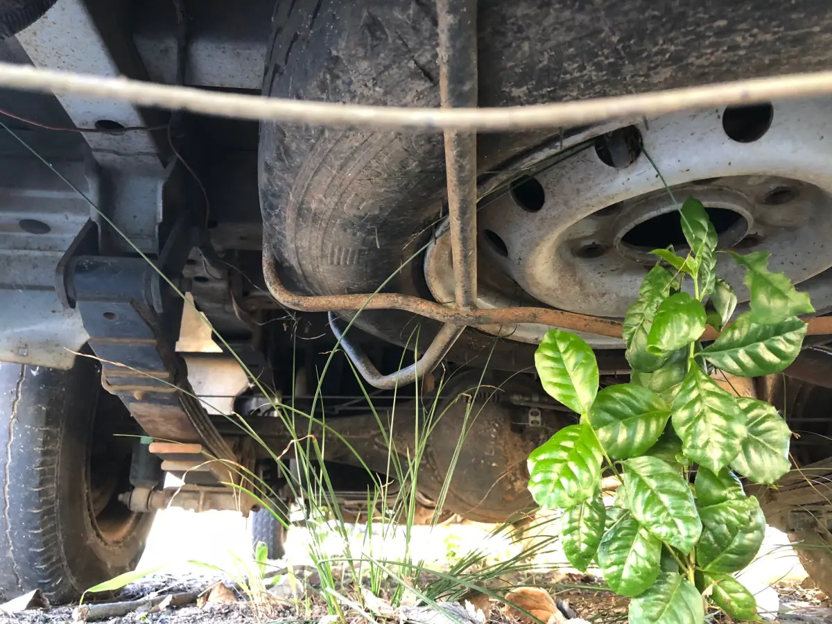 LOTE 01 - I/Kia Besta