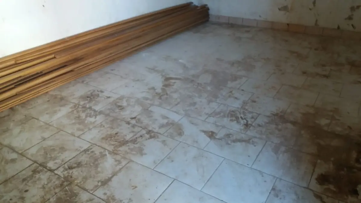 LOTE  - POSTO DE CONBUSTÍVEL NO CENTRO DE CASCA/RS