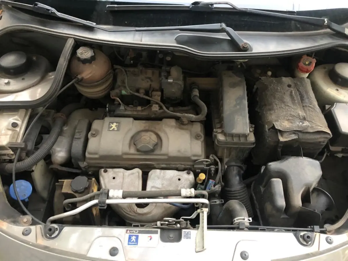 LOTE 000 - VEÍCULO PEUGEOT 207, 09/09