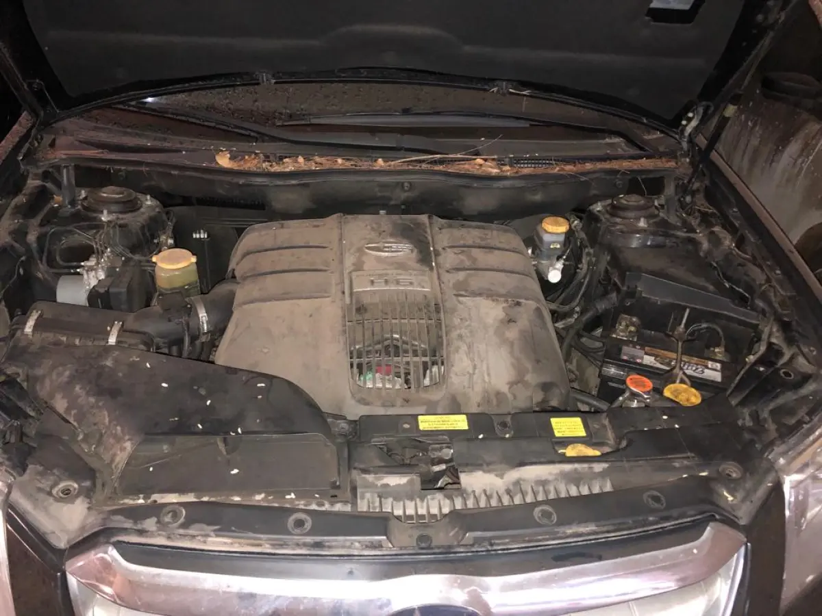 LOTE  - SUBARU TRIBECA