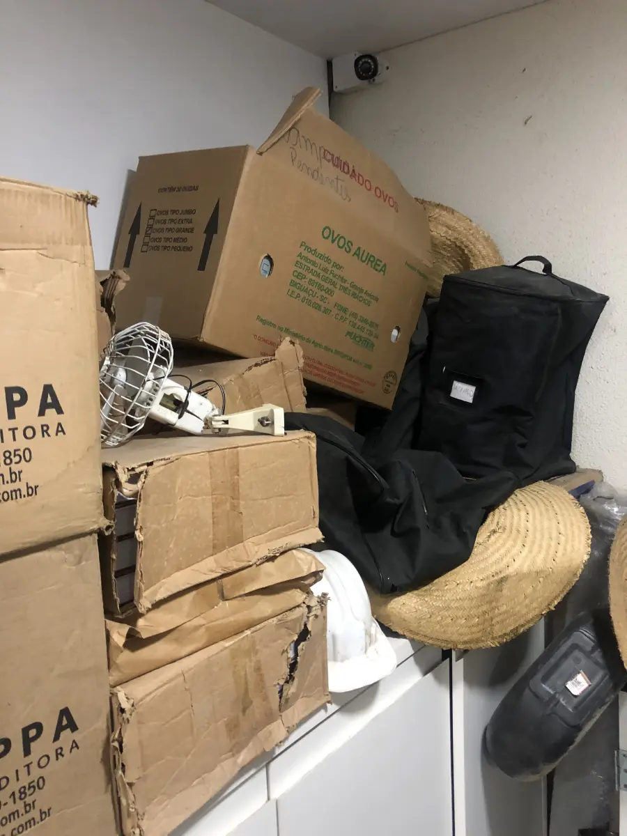 LOTE 046 - Lote com guilhotina, esmerilhadeiras, serras, parafusos, banquetas, manequim, catalogos, cortinas, fitas de borda, serra circular, lixadeiras, engraxadeira, cones, cintas, catracas, vaso, cintos alpinista, prateleira, balcão, armarios, silicones, soprador de calor, etc 