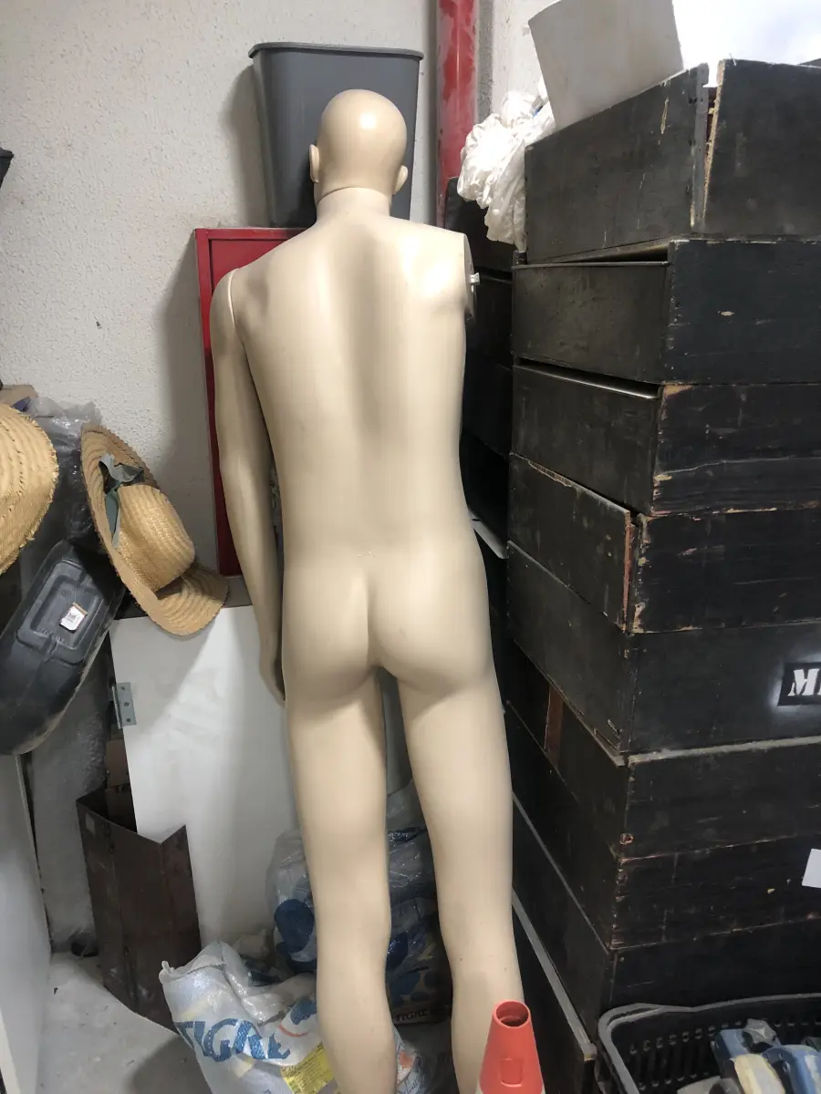 LOTE 046 - Lote com guilhotina, esmerilhadeiras, serras, parafusos, banquetas, manequim, catalogos, cortinas, fitas de borda, serra circular, lixadeiras, engraxadeira, cones, cintas, catracas, vaso, cintos alpinista, prateleira, balcão, armarios, silicones, soprador de calor, etc 