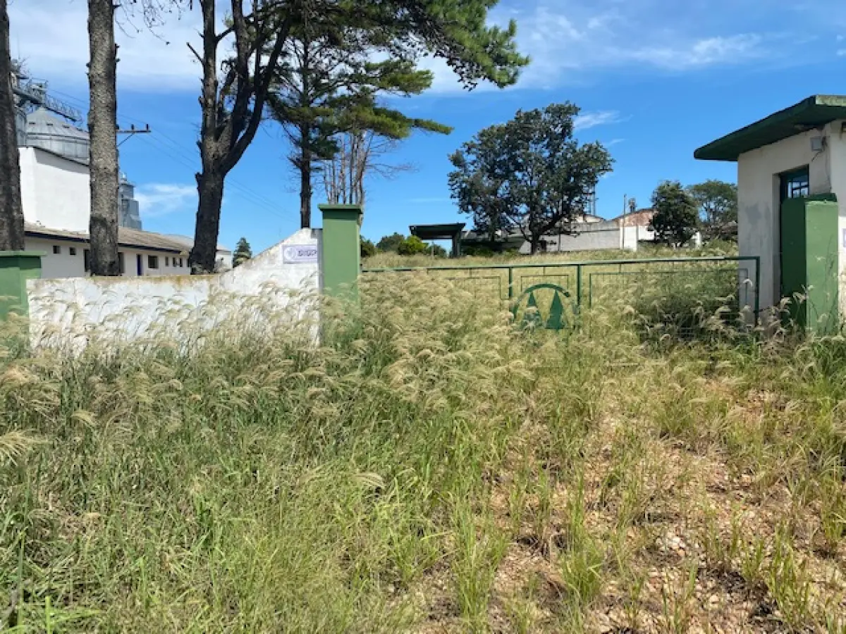 LOTE 1 - CACHOEIRA DO SUL - 5,5HA DE PLANTA INDUSTRIAL PARA GRÃOS NA BR