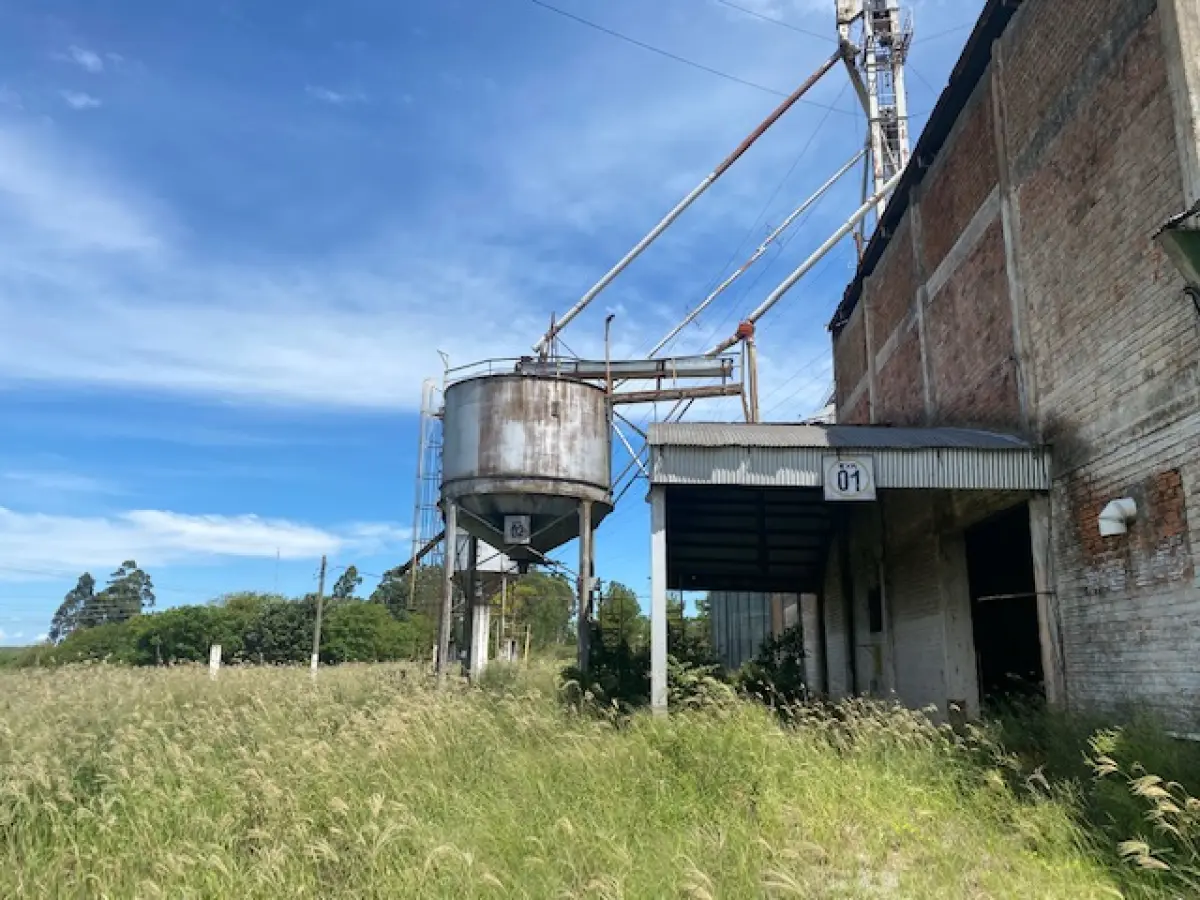 LOTE 1 - CACHOEIRA DO SUL - 5,5HA DE PLANTA INDUSTRIAL PARA GRÃOS NA BR