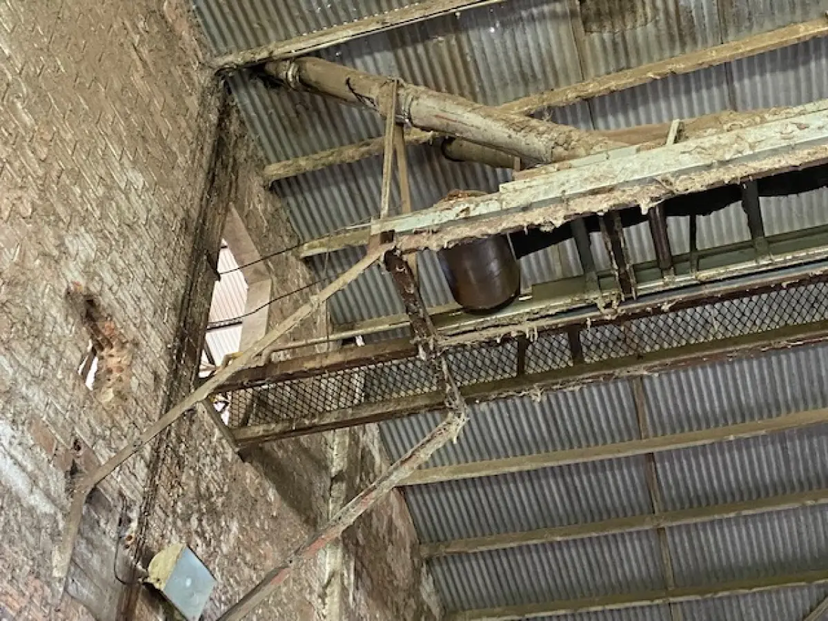 LOTE 1 - CACHOEIRA DO SUL - 5,5HA DE PLANTA INDUSTRIAL PARA GRÃOS NA BR