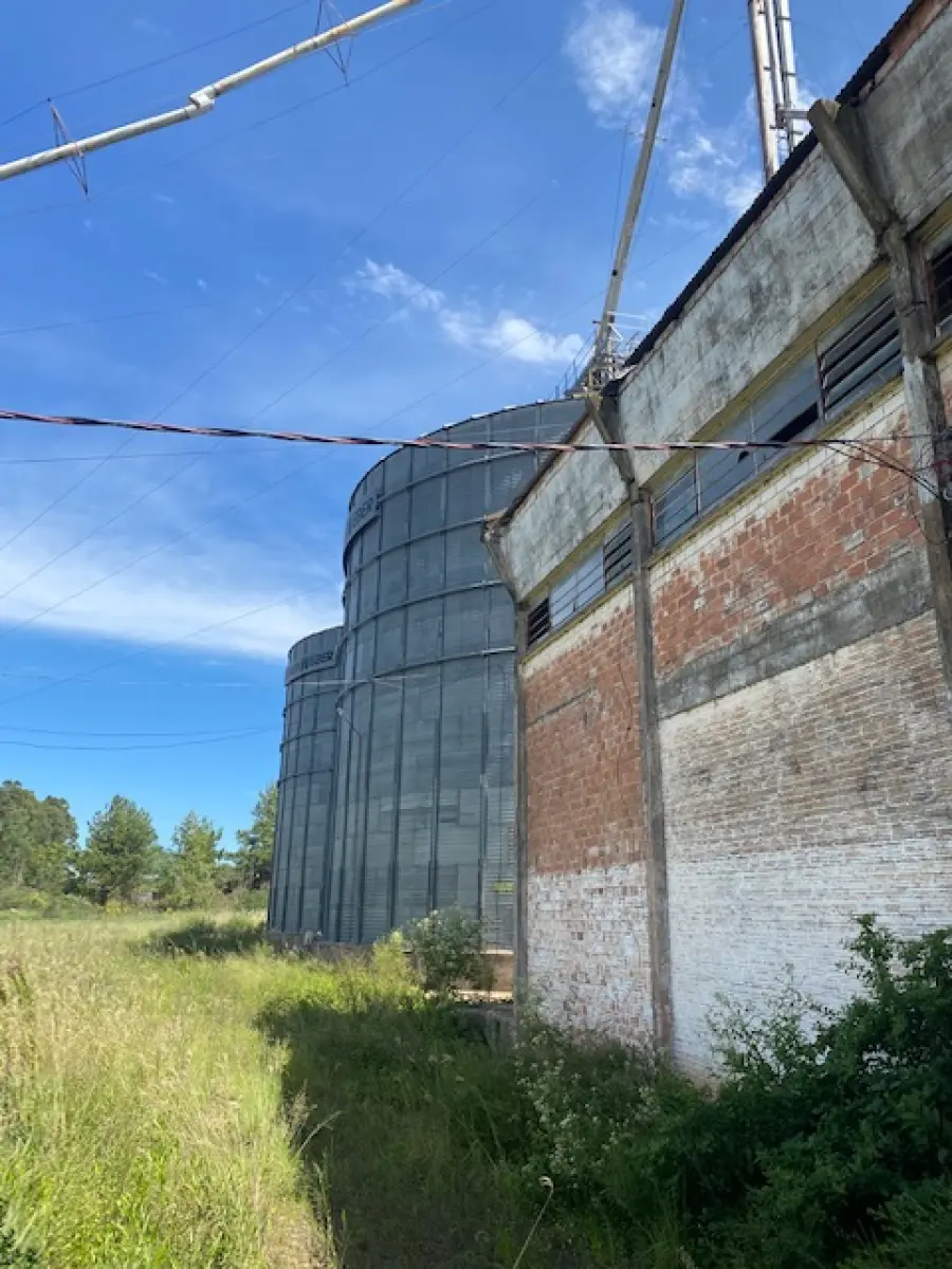 LOTE 1 - CACHOEIRA DO SUL - 5,5HA DE PLANTA INDUSTRIAL PARA GRÃOS NA BR