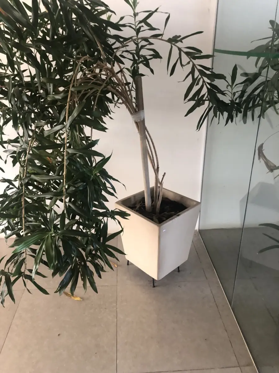 LOTE 001 - LOTE 1A STALKING HORSE. PRÉDIO E ALGUNS ITENS, ESCRITÓRIOS, REFEITÓRIO, AR CONDICIONADOS ETC