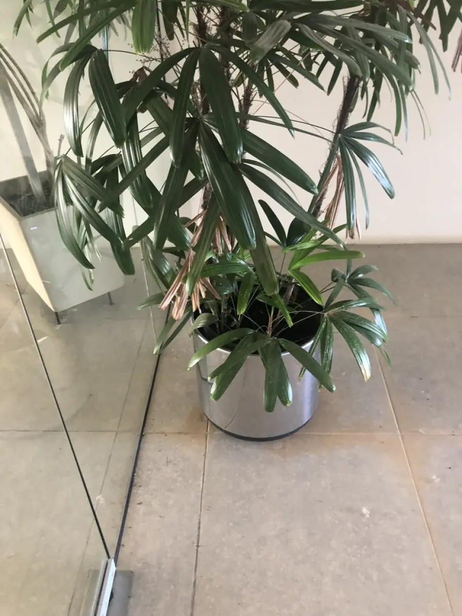 LOTE 001 - LOTE 1A STALKING HORSE. PRÉDIO E ALGUNS ITENS, ESCRITÓRIOS, REFEITÓRIO, AR CONDICIONADOS ETC