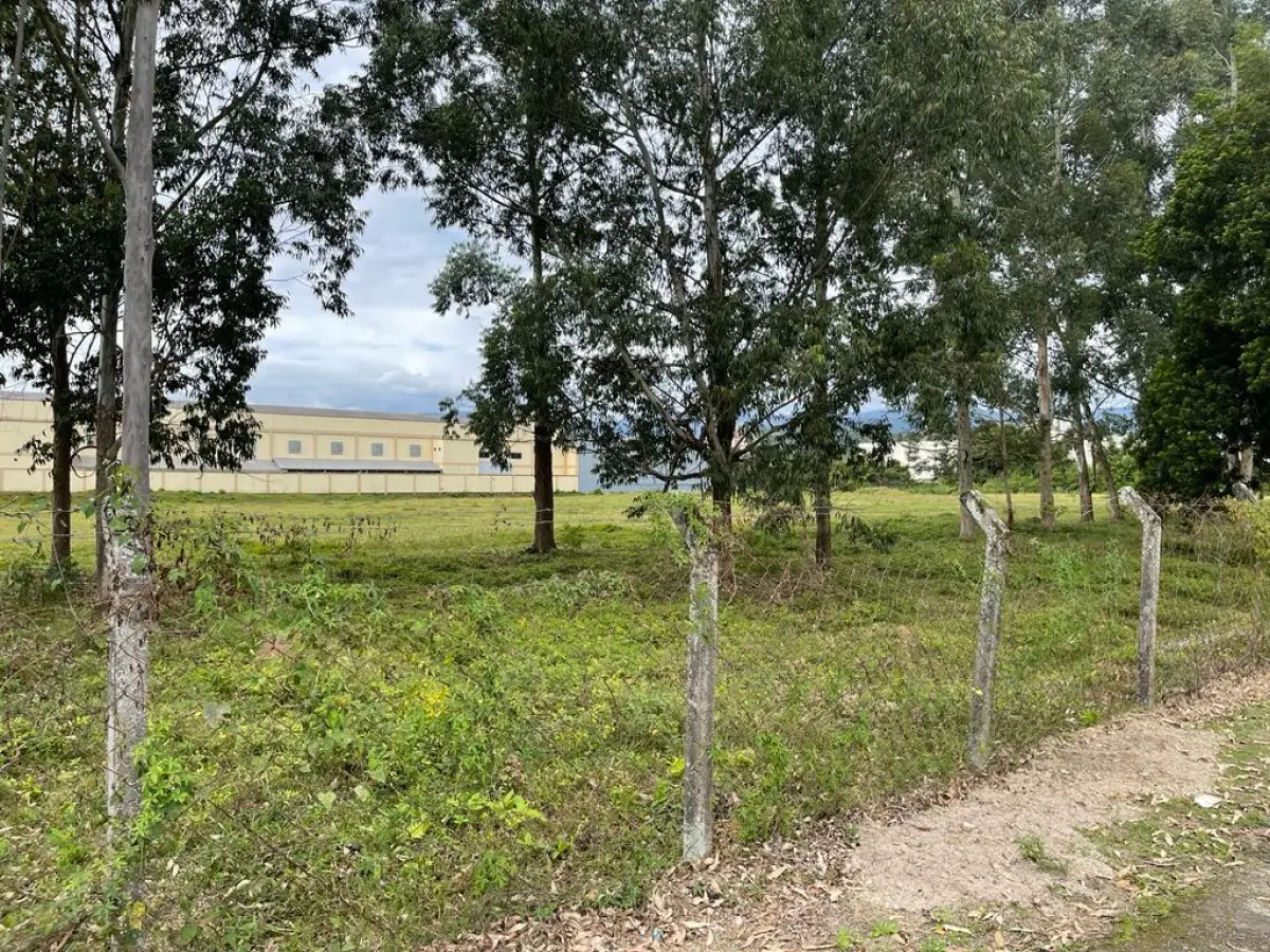 LOTE 001 - 2 IMÓVEIS COM ÁREA TOTAL DE 8.570,10M2 EM SÃO JOAO BATISTA SC. MODALIDADE ENVELOPE FECHADO COM ENTREGA ATÉ AS 13:50. ABERTURA AS 14 HORAS E STLAKING HORSE DO MAIOR LANCE ACIMA DO MÍNIMO, COM COMPETIÇÃO ENTRE OS QUE ENTREGARAM ENVELOPE. VER REGRAS DE STALKING HORSE.