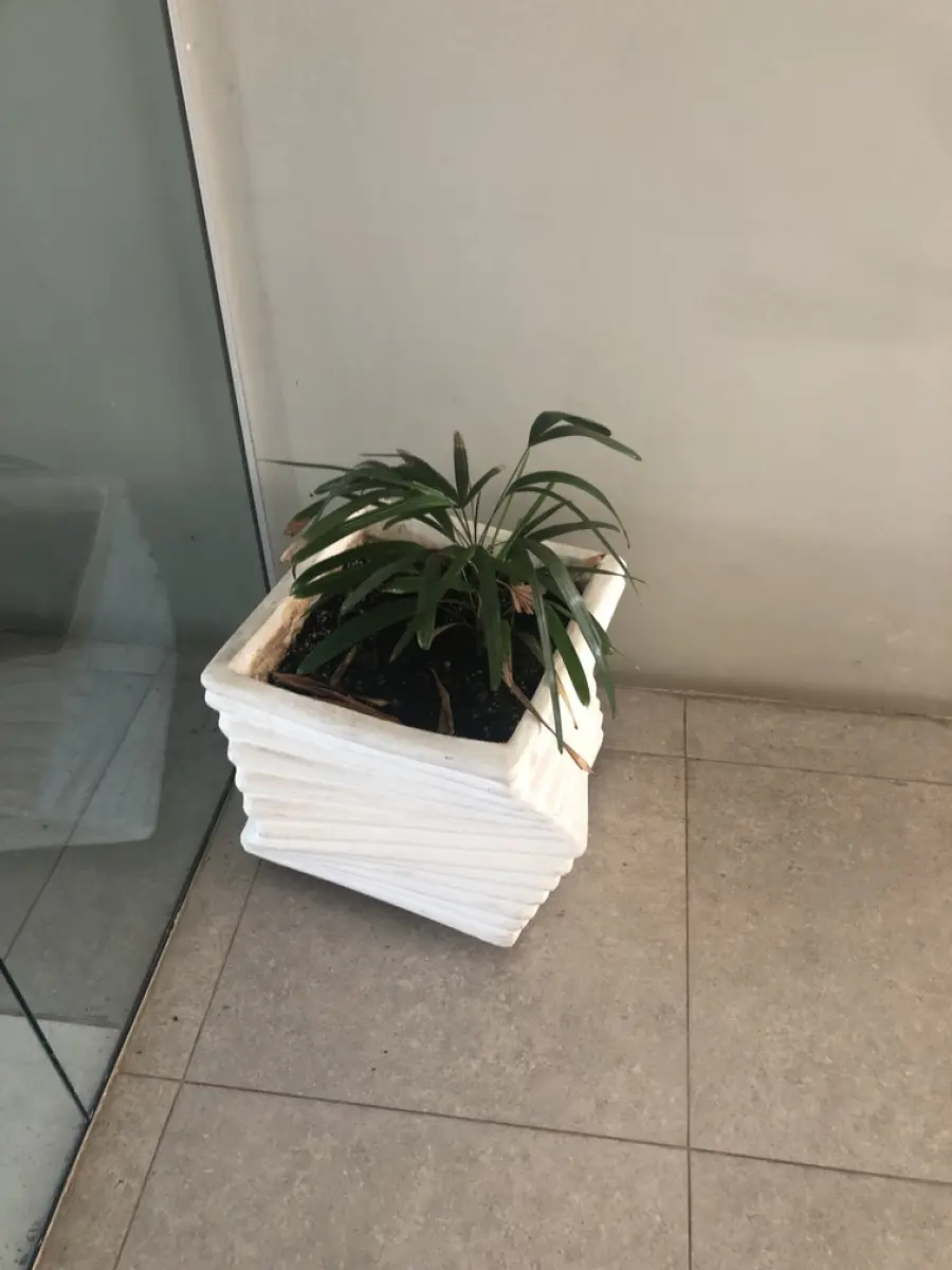 LOTE 001 - LOTE 1A STALKING HORSE. PRÉDIO E ALGUNS ITENS, ESCRITÓRIOS, REFEITÓRIO, AR CONDICIONADOS ETC