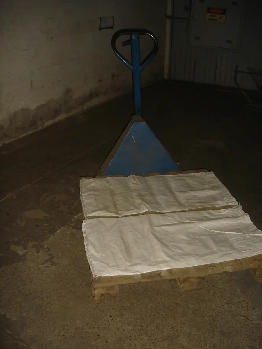 LOTE 034 - 2 carrinhos paletrans