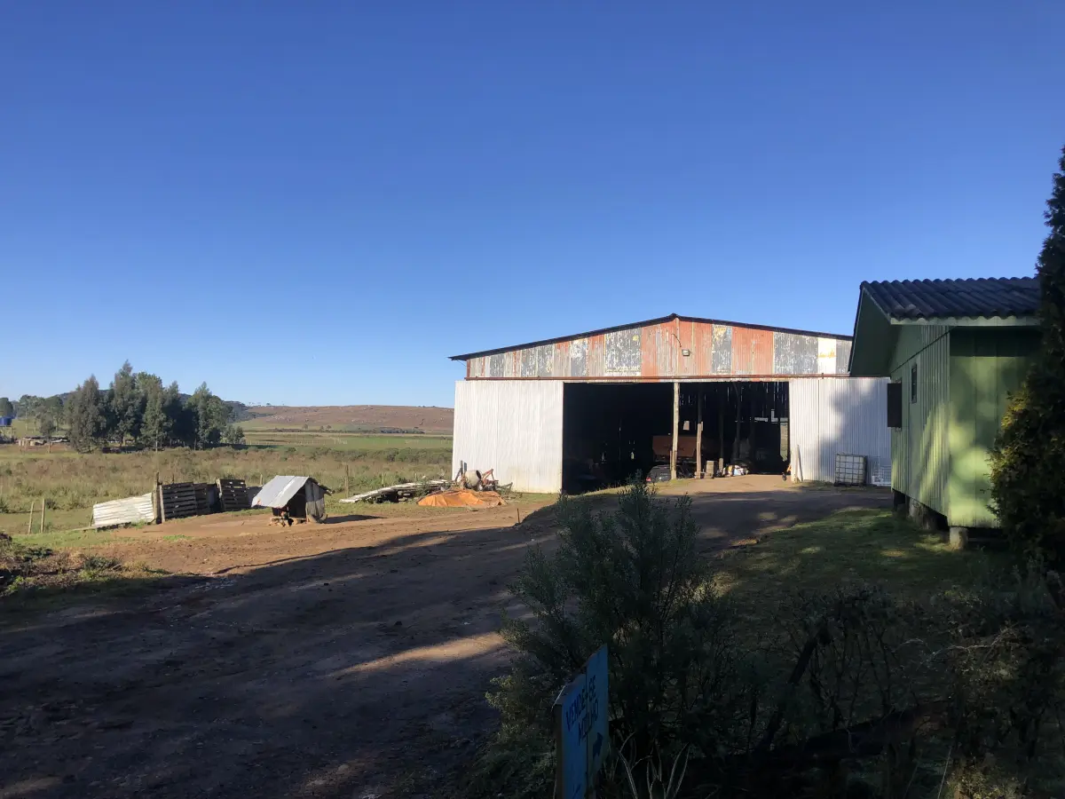 LOTE 001 - Uma área de terras c/20.000m²