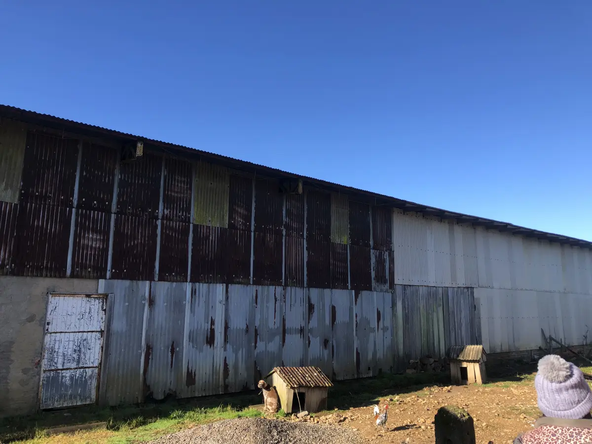 LOTE 001 - Uma área de terras c/20.000m²