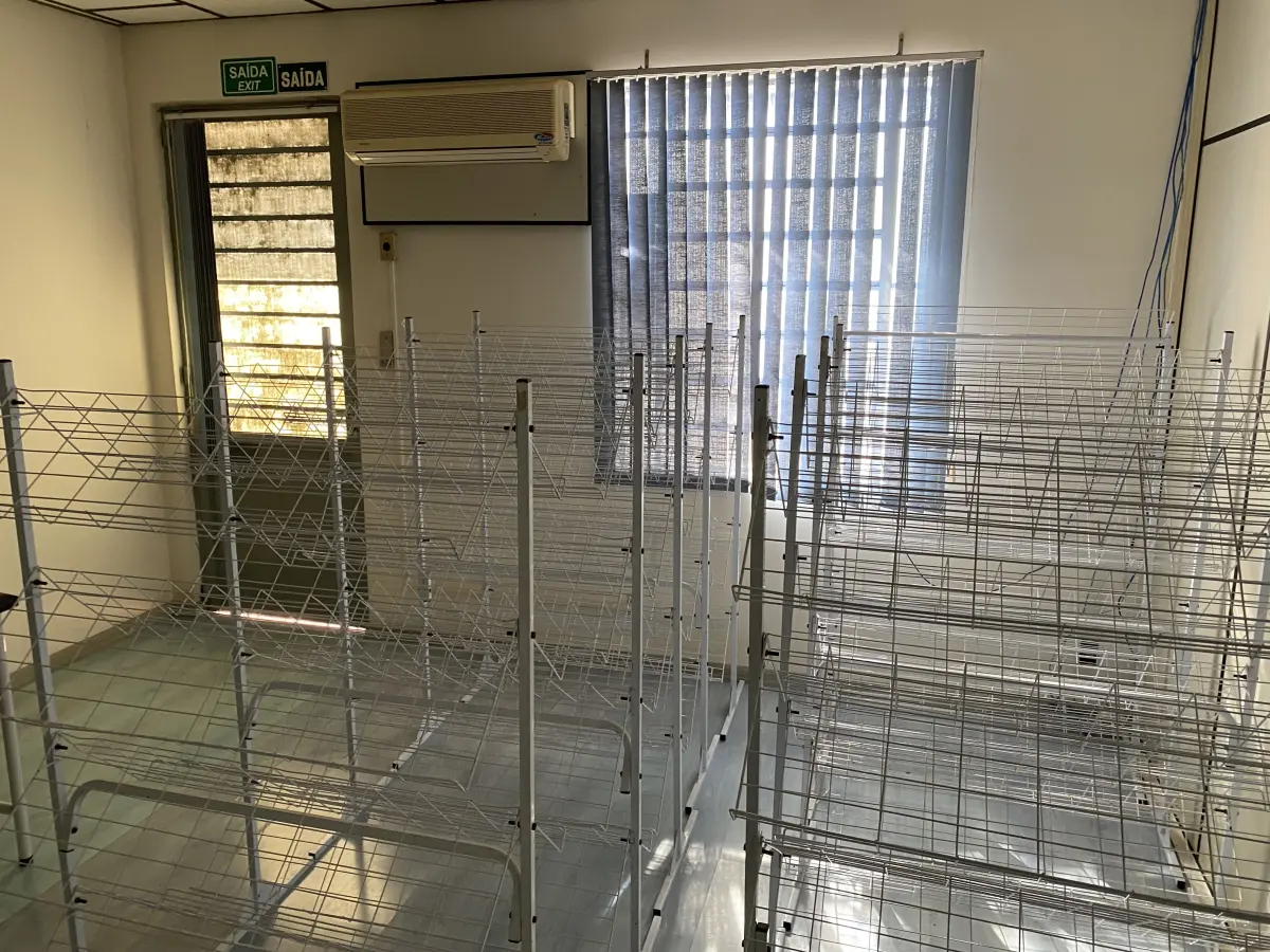 LOTE 514 - Lote de araras