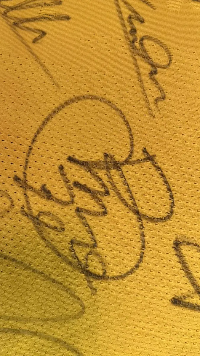 LOTE 001 - CAMPANHA DE DOAÇÃO - LEILÃO DE CAMISA DO JOGADOR TIAGO SILVA DA SELEÇÃO BRASILEIRA AUTOGRAFADA POR TODOS OS JOGADORES - CAMISA COM O LEILOEIRO A DISPOSIÇÃO PARA VISITAÇÃO - AJUDAR ESSA NOBRE CAUSA NÃO TEM PREÇO - PARA CADASTRO RÁPIDO CONTATE O LEILOEIRO 51.991165051