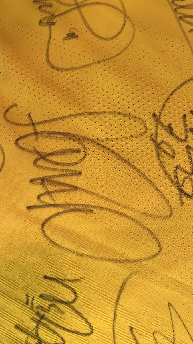 LOTE 001 - CAMPANHA DE DOAÇÃO - LEILÃO DE CAMISA DO JOGADOR TIAGO SILVA DA SELEÇÃO BRASILEIRA AUTOGRAFADA POR TODOS OS JOGADORES - CAMISA COM O LEILOEIRO A DISPOSIÇÃO PARA VISITAÇÃO - AJUDAR ESSA NOBRE CAUSA NÃO TEM PREÇO - PARA CADASTRO RÁPIDO CONTATE O LEILOEIRO 51.991165051