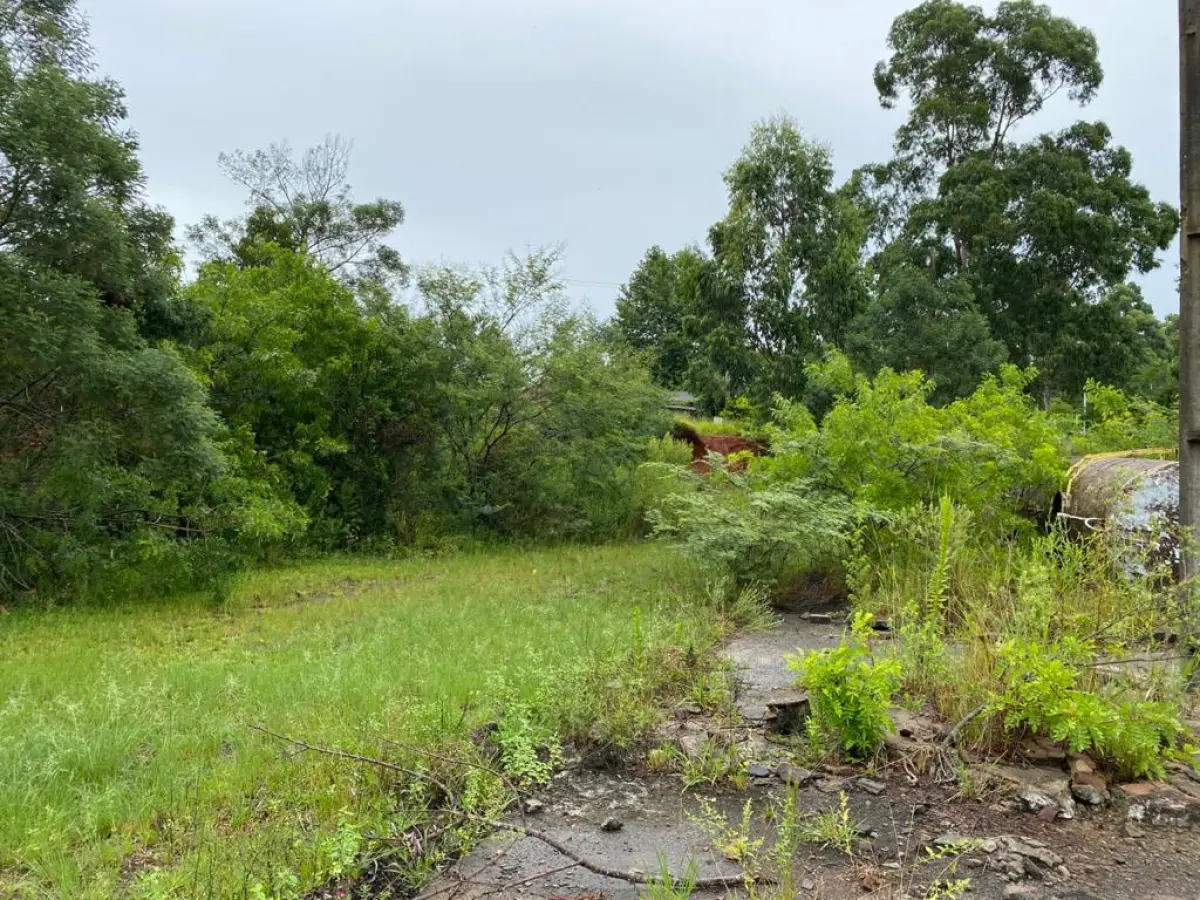 LOTE 000 - IMÓVEL GRANDE C. ÁREA 46.000M2 – 2 FRENTES PARA ESTRADAS ASFALTADAS NA ZONA INDUSTRIAL DE TRIUNFO