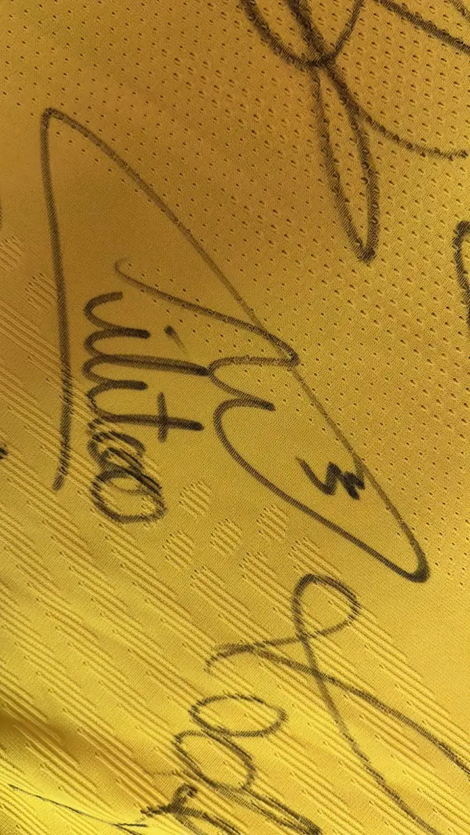 LOTE 001 - CAMPANHA DE DOAÇÃO - LEILÃO DE CAMISA DO JOGADOR TIAGO SILVA DA SELEÇÃO BRASILEIRA AUTOGRAFADA POR TODOS OS JOGADORES - CAMISA COM O LEILOEIRO A DISPOSIÇÃO PARA VISITAÇÃO - AJUDAR ESSA NOBRE CAUSA NÃO TEM PREÇO - PARA CADASTRO RÁPIDO CONTATE O LEILOEIRO 51.991165051
