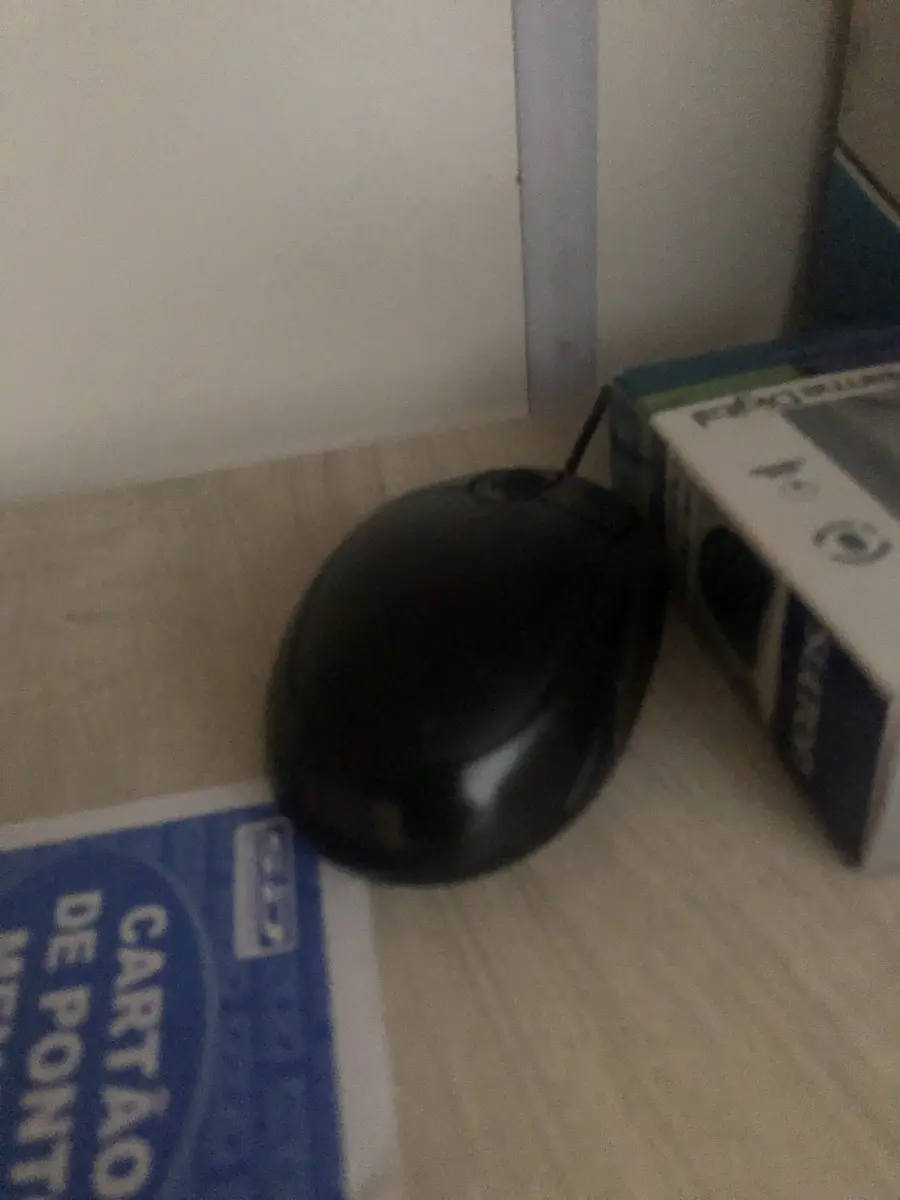 LOTE 015 - 1 mouse com fio