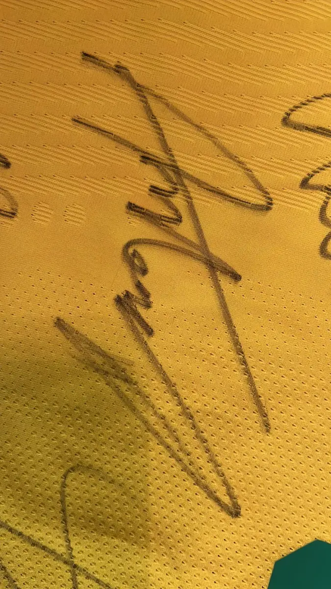 LOTE 001 - CAMPANHA DE DOAÇÃO - LEILÃO DE CAMISA DO JOGADOR TIAGO SILVA DA SELEÇÃO BRASILEIRA AUTOGRAFADA POR TODOS OS JOGADORES - CAMISA COM O LEILOEIRO A DISPOSIÇÃO PARA VISITAÇÃO - AJUDAR ESSA NOBRE CAUSA NÃO TEM PREÇO - PARA CADASTRO RÁPIDO CONTATE O LEILOEIRO 51.991165051