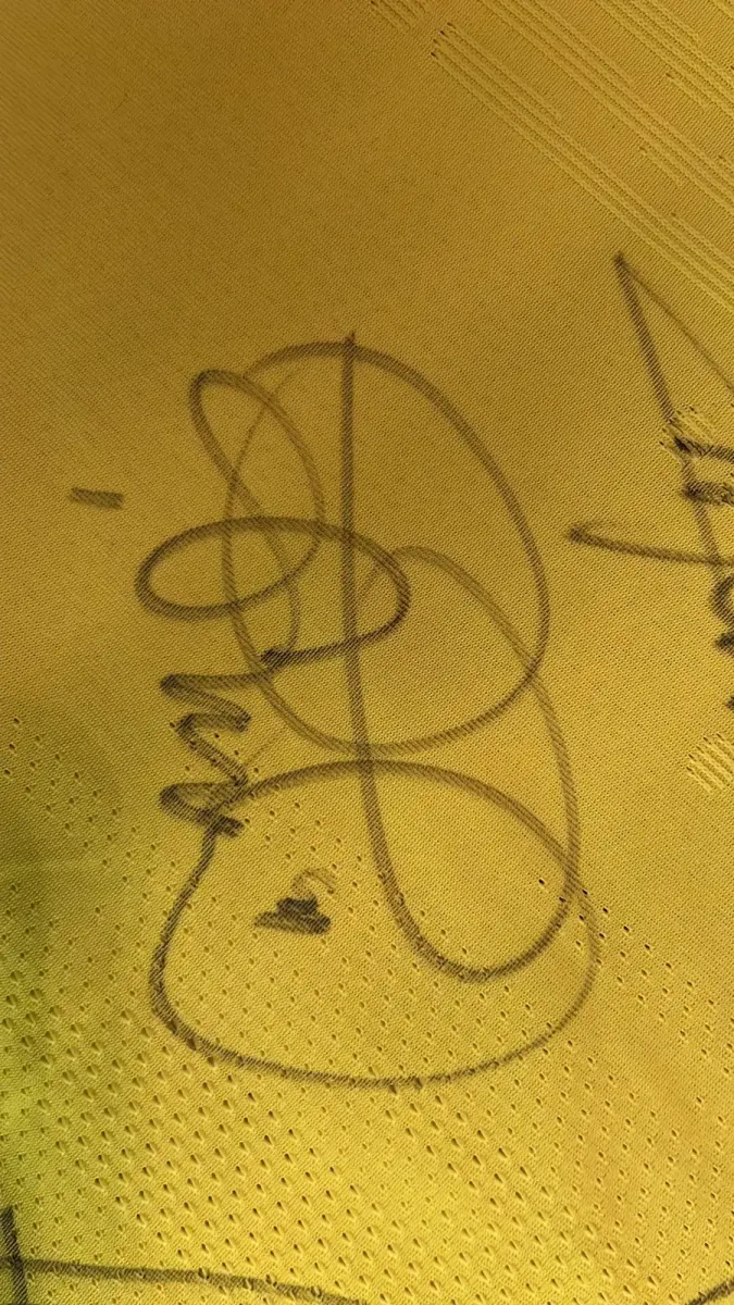 LOTE 001 - CAMPANHA DE DOAÇÃO - LEILÃO DE CAMISA DO JOGADOR TIAGO SILVA DA SELEÇÃO BRASILEIRA AUTOGRAFADA POR TODOS OS JOGADORES - CAMISA COM O LEILOEIRO A DISPOSIÇÃO PARA VISITAÇÃO - AJUDAR ESSA NOBRE CAUSA NÃO TEM PREÇO - PARA CADASTRO RÁPIDO CONTATE O LEILOEIRO 51.991165051