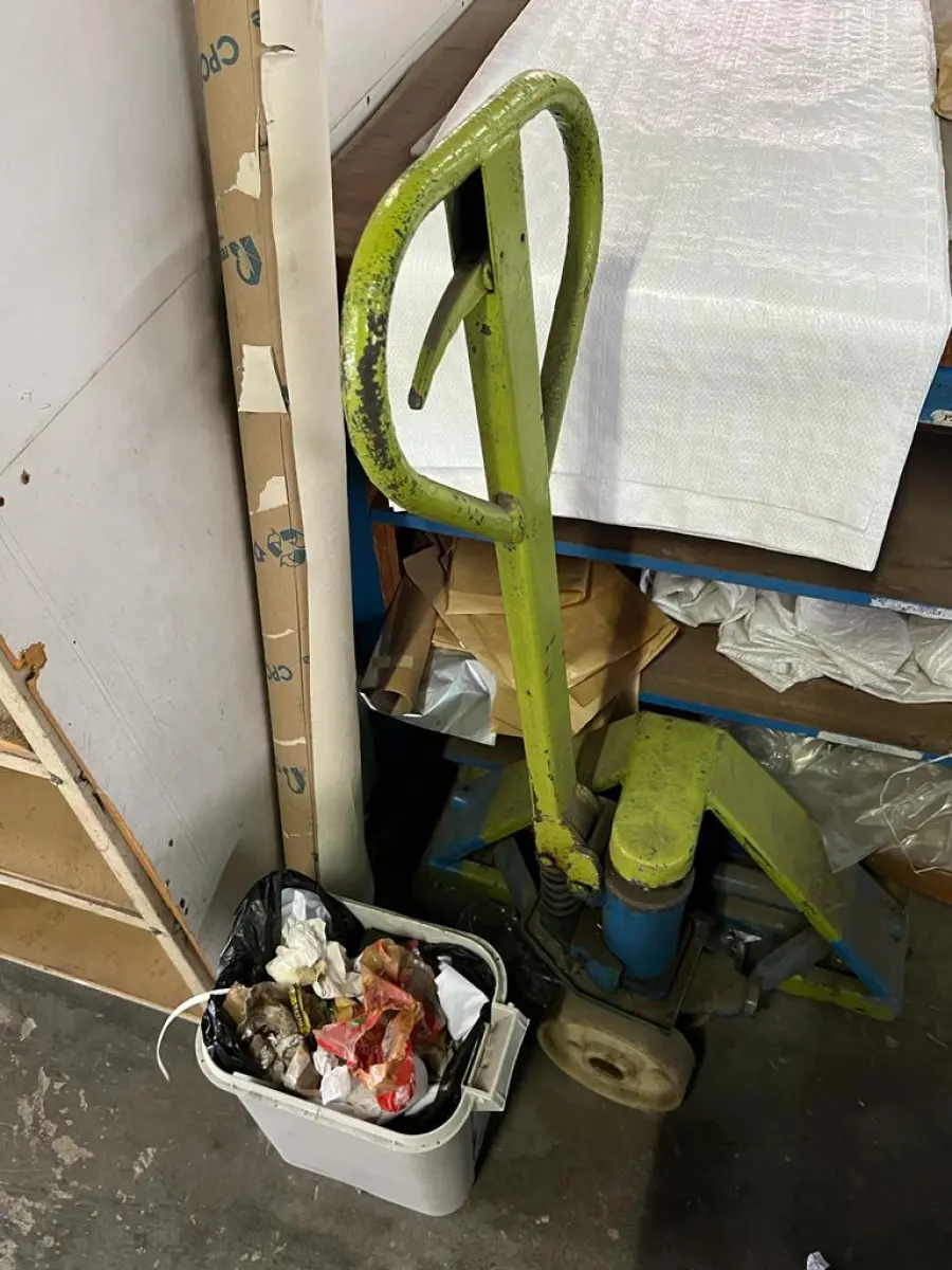 LOTE 013 - carrinho paletrans