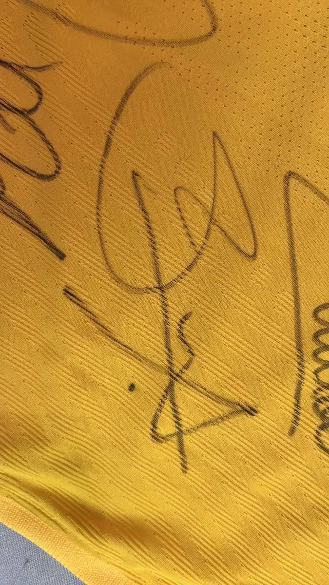 LOTE 001 - CAMPANHA DE DOAÇÃO - LEILÃO DE CAMISA DO JOGADOR TIAGO SILVA DA SELEÇÃO BRASILEIRA AUTOGRAFADA POR TODOS OS JOGADORES - CAMISA COM O LEILOEIRO A DISPOSIÇÃO PARA VISITAÇÃO - AJUDAR ESSA NOBRE CAUSA NÃO TEM PREÇO - PARA CADASTRO RÁPIDO CONTATE O LEILOEIRO 51.991165051