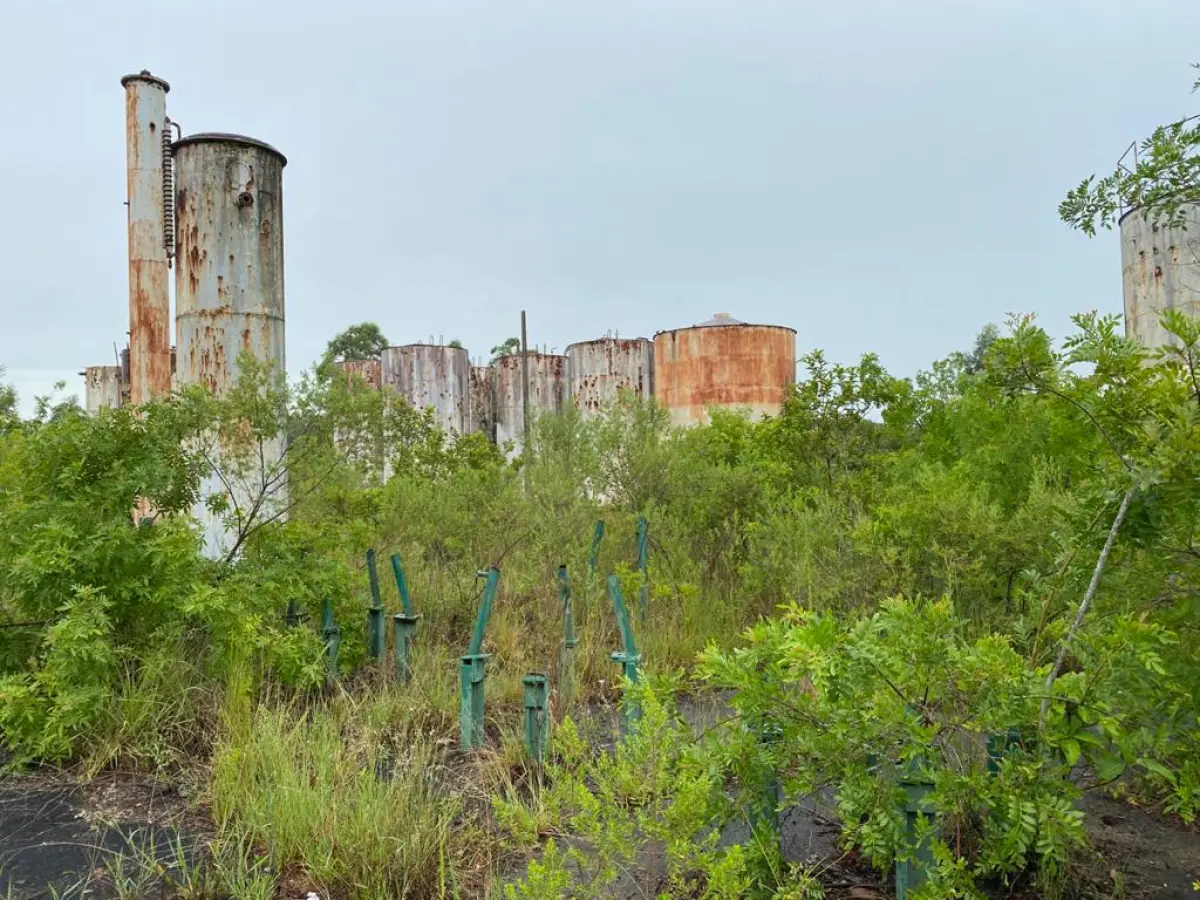 LOTE 000 - IMÓVEL GRANDE C. ÁREA 46.000M2 – 2 FRENTES PARA ESTRADAS ASFALTADAS NA ZONA INDUSTRIAL DE TRIUNFO