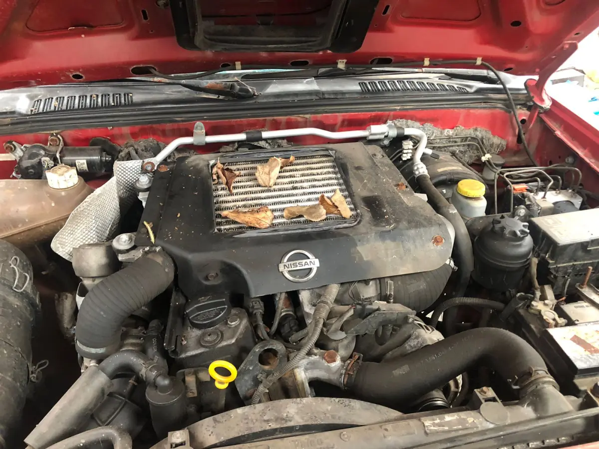 LOTE 000 - Nissan Frontier