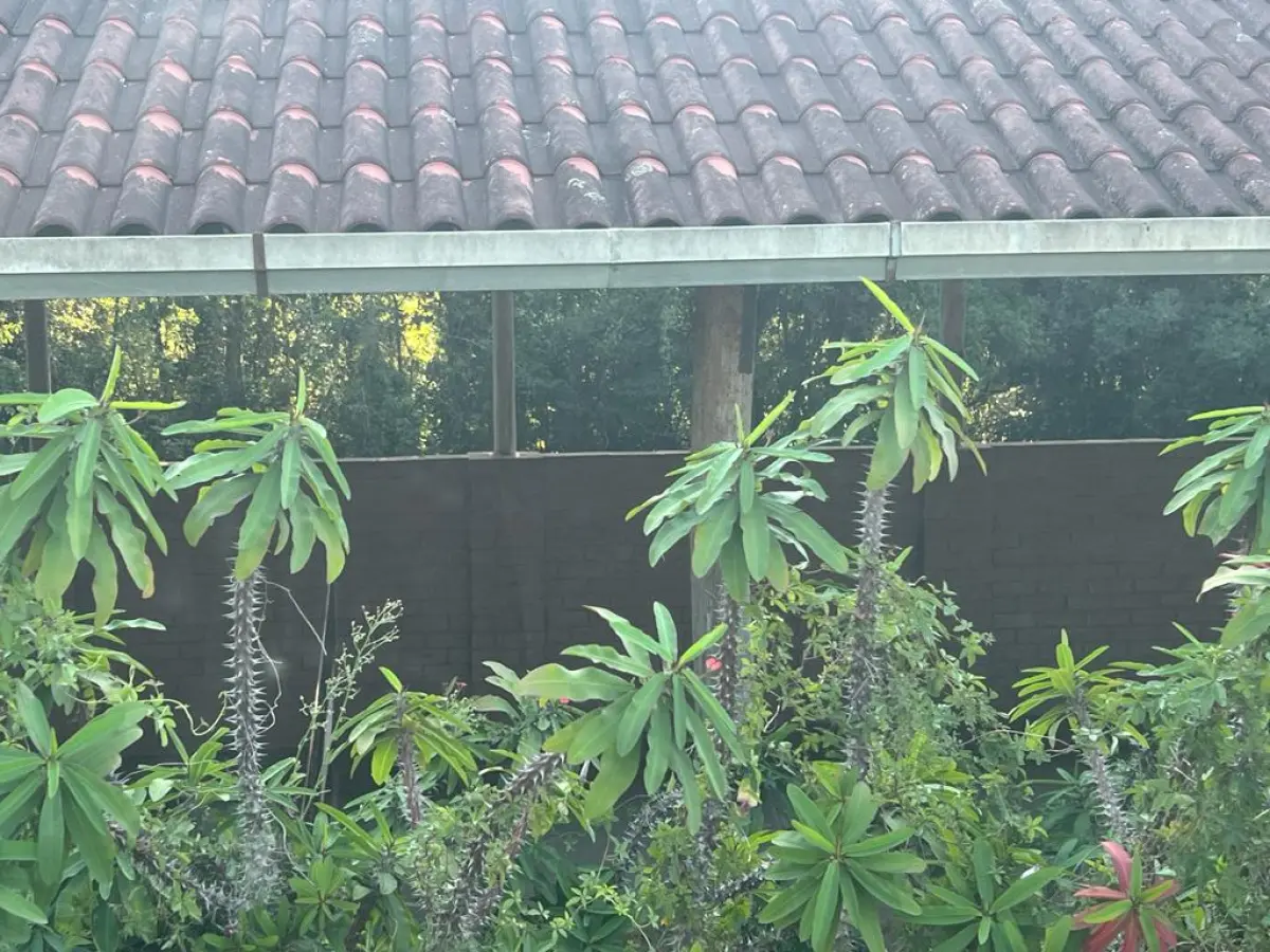 LOTE 001 - POUSADA E CASA DE FESTAS DE LUXO EM 58HA - LINHA NOVA SODER EM SANTA CRUZ DO SUL