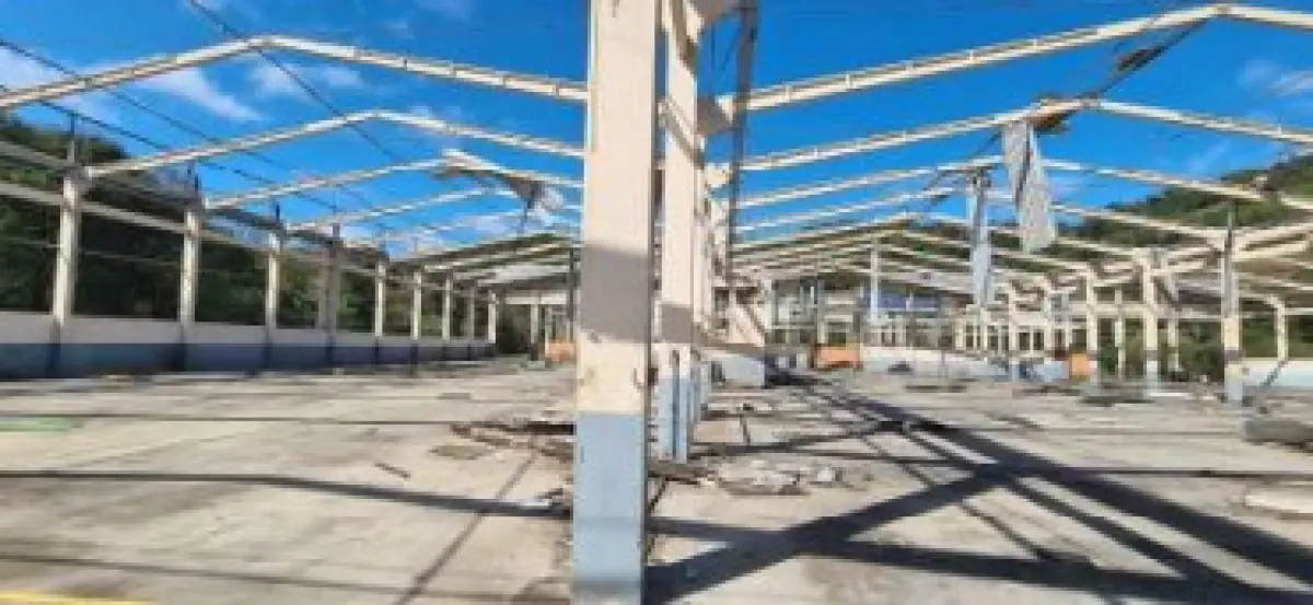 LOTE 001 - GRANDE IMÓVEL EM FLORES DA CUNHA 102.800M2 - ESTRUTURA DE PAVILHAO 11.811M2