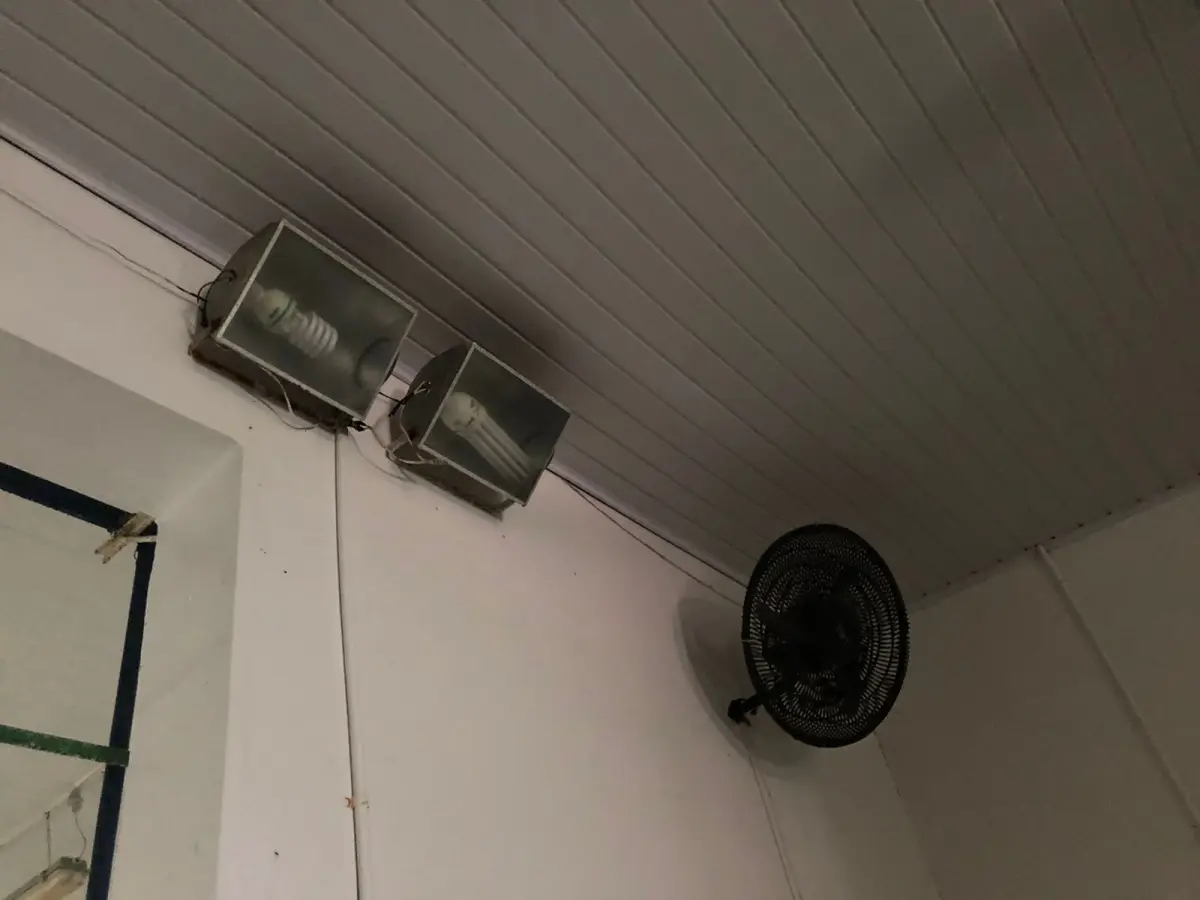 LOTE 000 - SILOS DE INOX – CALDEIRAS – TANQUES 100MIL L – BALANÇA RODOVIÁRIA – RESERVATÓRIO DE ÁGUA – UNO MILLE 95/96