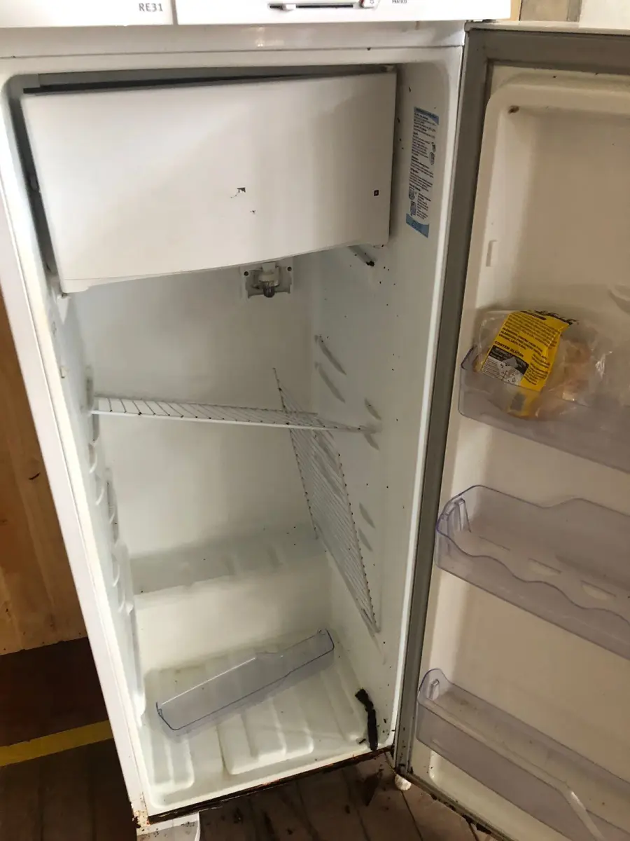 LOTE 245 - Geladeira Electrolux