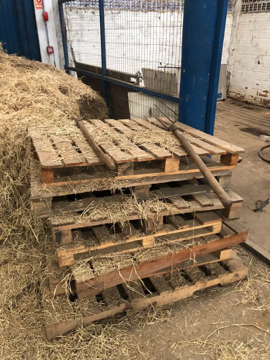 LOTE 001 - LOTE DE PALLETS DE MADEIRA