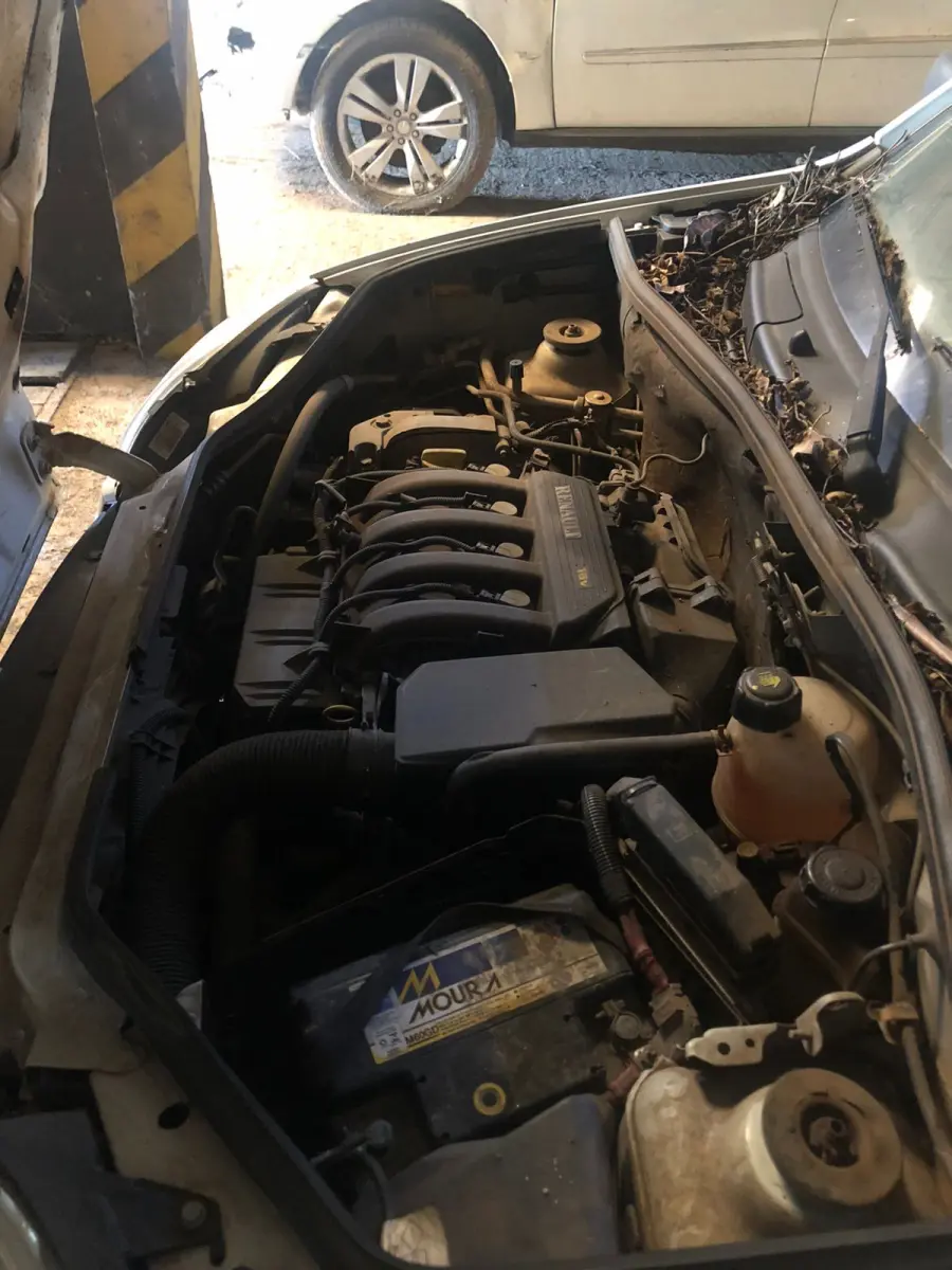 LOTE 001 - Renalut/Kangoo Express16