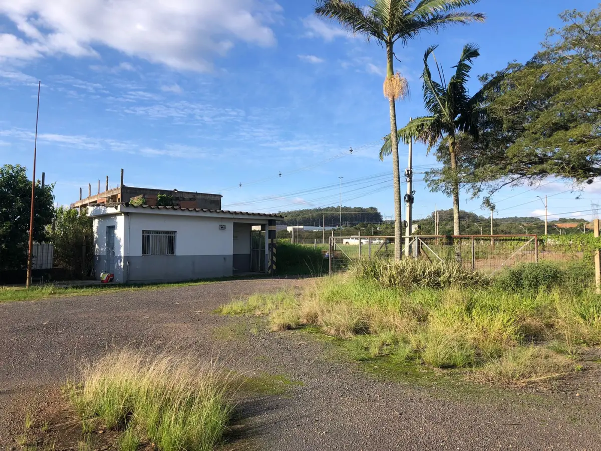 LOTE 001 - 15.000m2 FRENTE BR116 EM GUAIBA - PAVILHÃO E ESTRUTURA PARA  BENEFICIAMENTO DE GRÃOS