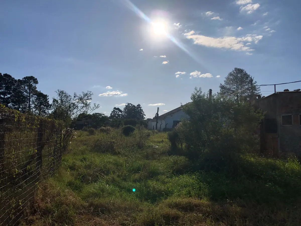 LOTE 001 - 15.000m2 FRENTE BR116 EM GUAIBA - PAVILHÃO E ESTRUTURA PARA  BENEFICIAMENTO DE GRÃOS