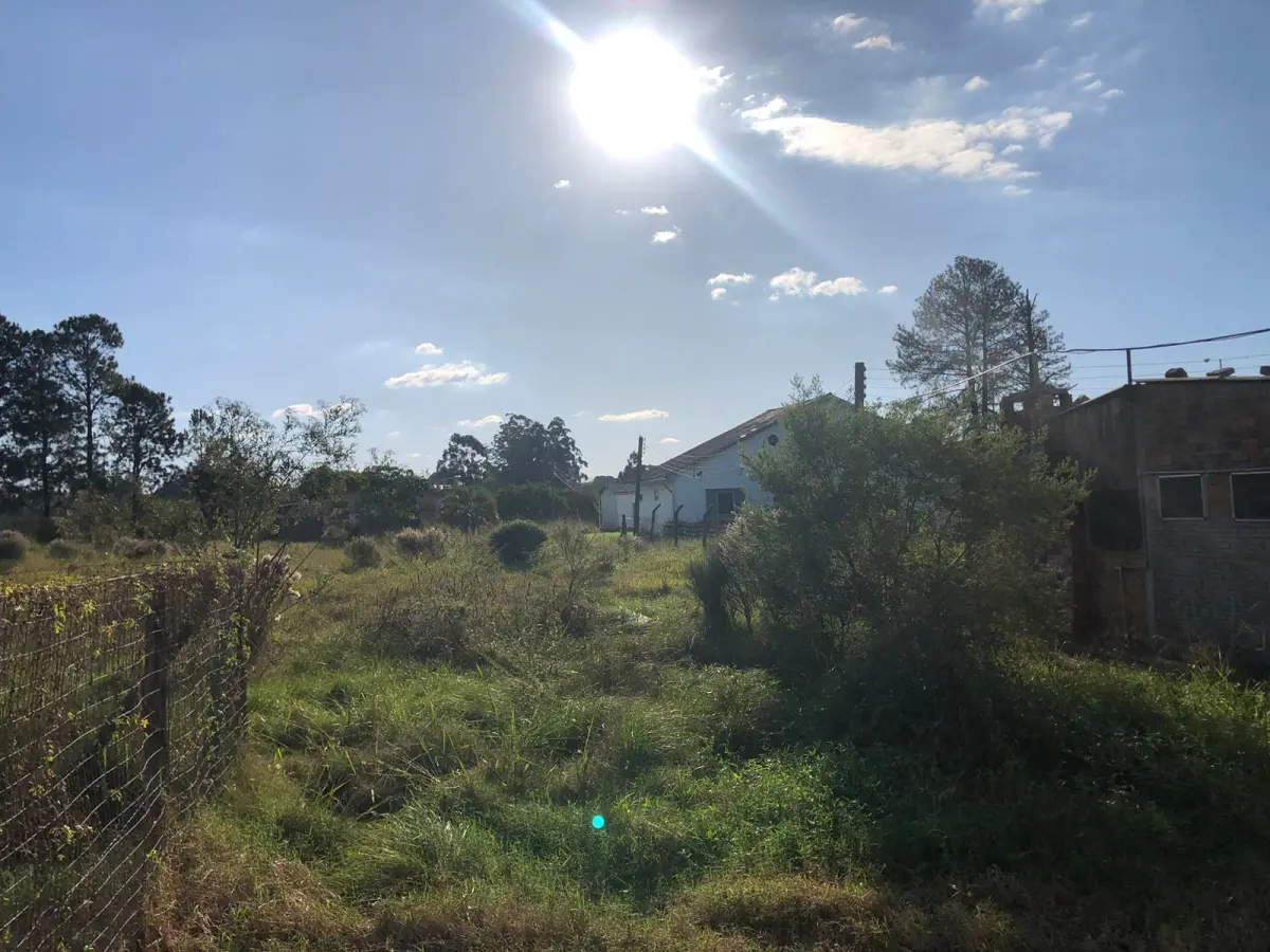 LOTE 001 - 15.000m2 FRENTE BR116 EM GUAIBA - PAVILHÃO E ESTRUTURA PARA  BENEFICIAMENTO DE GRÃOS