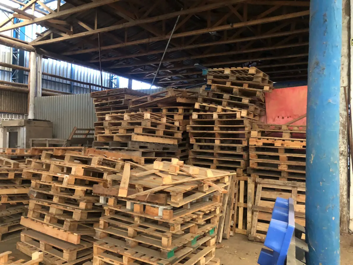 LOTE 001 - LOTE DE PALLETS DE MADEIRA