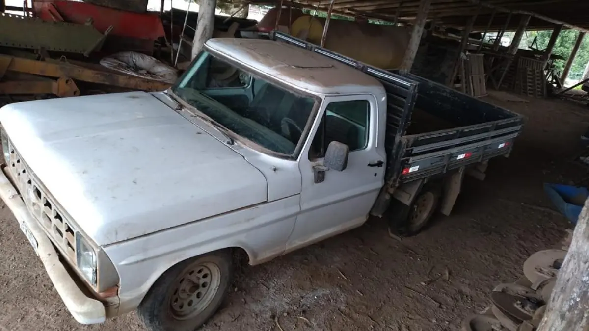 LOTE 002 - Caminhonete Ford/F1000 SS, fabricação/modelo 1989/1989
