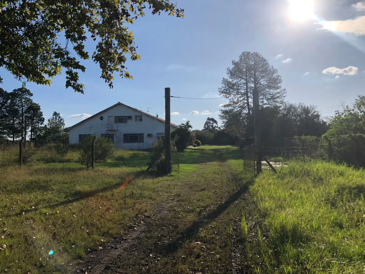 LOTE 001 - 15.000m2 FRENTE BR116 EM GUAIBA - PAVILHÃO E ESTRUTURA PARA  BENEFICIAMENTO DE GRÃOS
