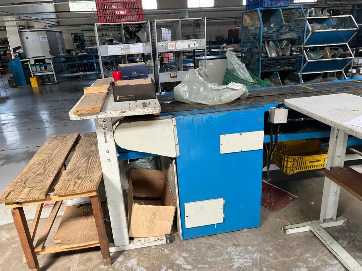 LOTE 002 - uma esteira dupla para sapatos com 24 metros