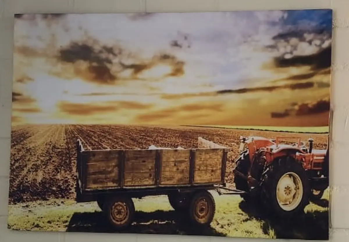 LOTE 125 - QUADRO IMAGEM TRATOR/CAMPO